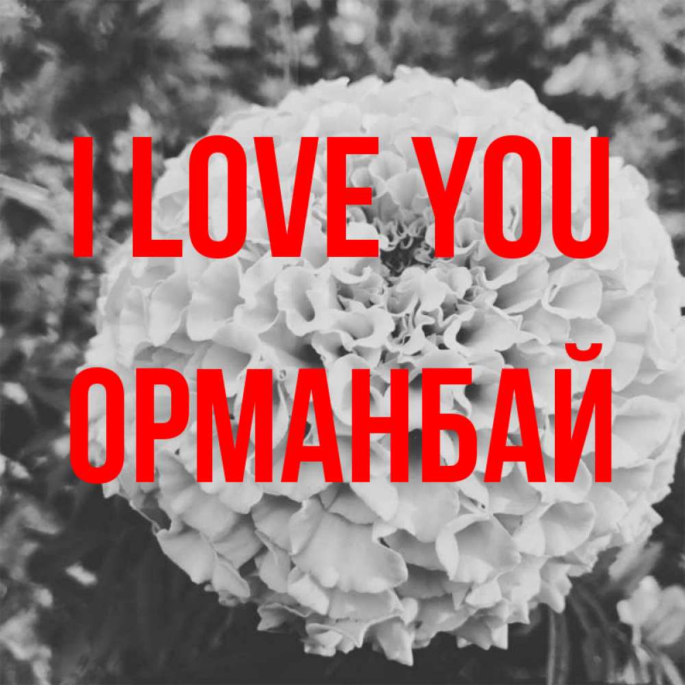 Greetings card с именем, ОРМАНБАЙ I love you подпись Greetings with text for free download 