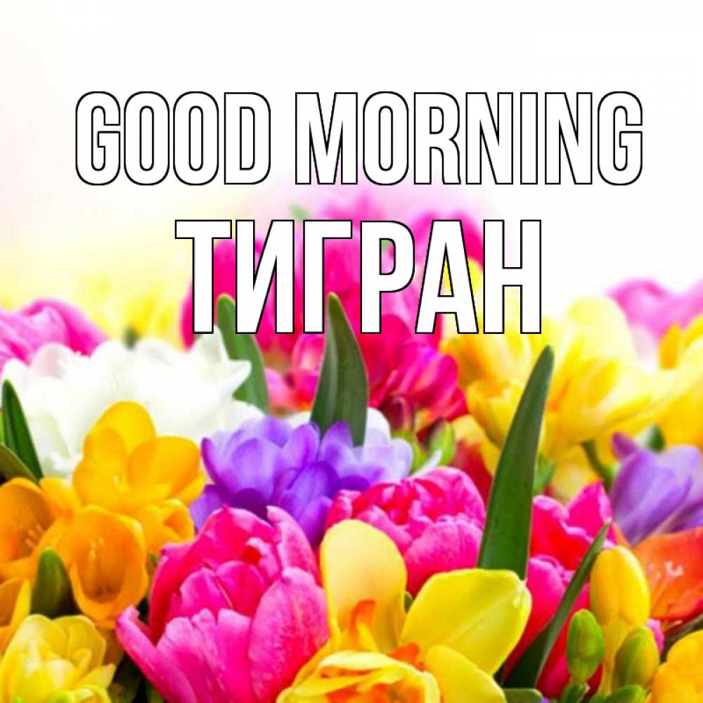 Greetings card с именем, Тигран Good morning создать открытку со свое подписью Greetings with text for free download 
