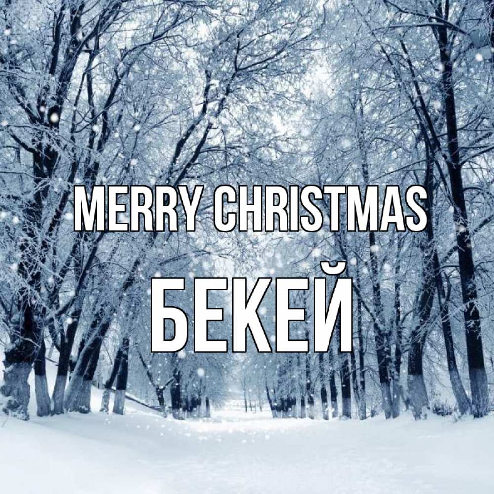 Greetings card с именем, Бекей Merry Christmas снег, лес, парк Greetings with text for free download 