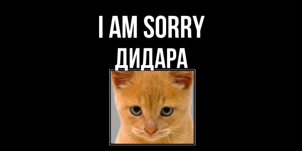 Greetings card с именем, ДИДАРА I am sorry рыжий грустный кот просит прощения Greetings with text for free download 