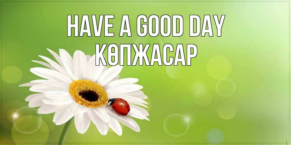 Greetings card с именем, Көпжасар Have a good day зеленый фон и ромашка Greetings with text for free download 