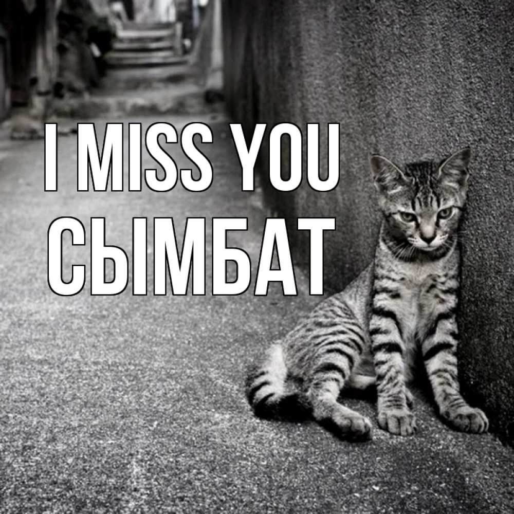 Greetings card с именем, СЫМБАТ I miss you одиноко котику Greetings with text for free download 