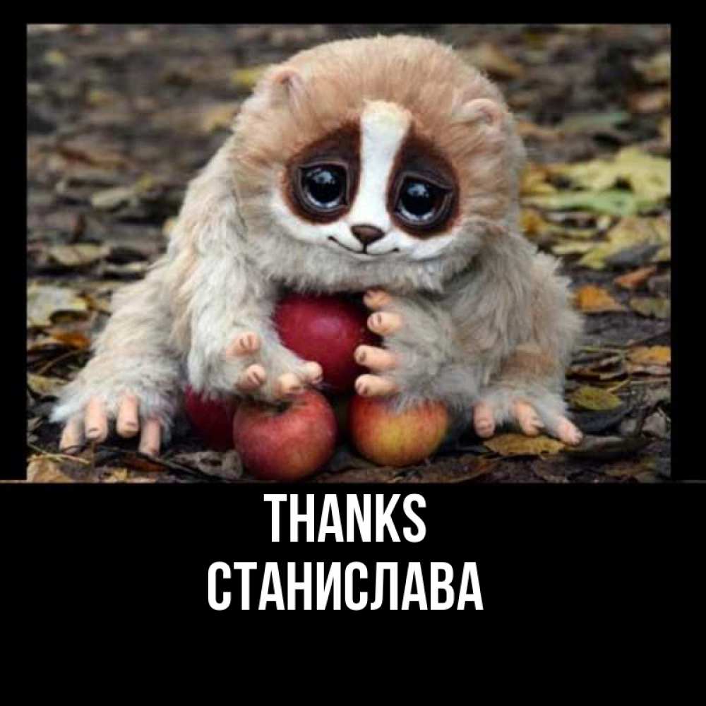 Greetings card с именем, Станислава Thanks прикольное животное Greetings with text for free download 