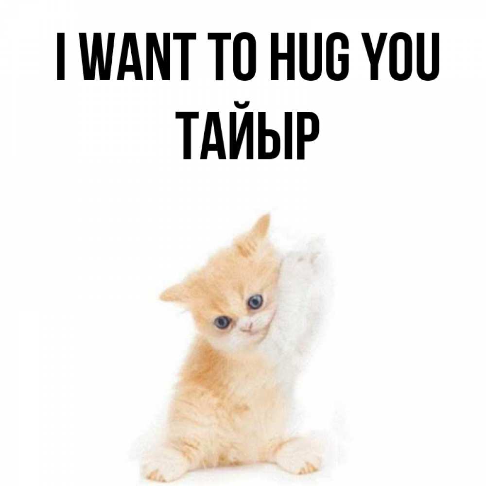 Greetings card с именем, ТАЙЫР I want to hug you я хочу очень скорее обнимаешек Greetings with text for free download 