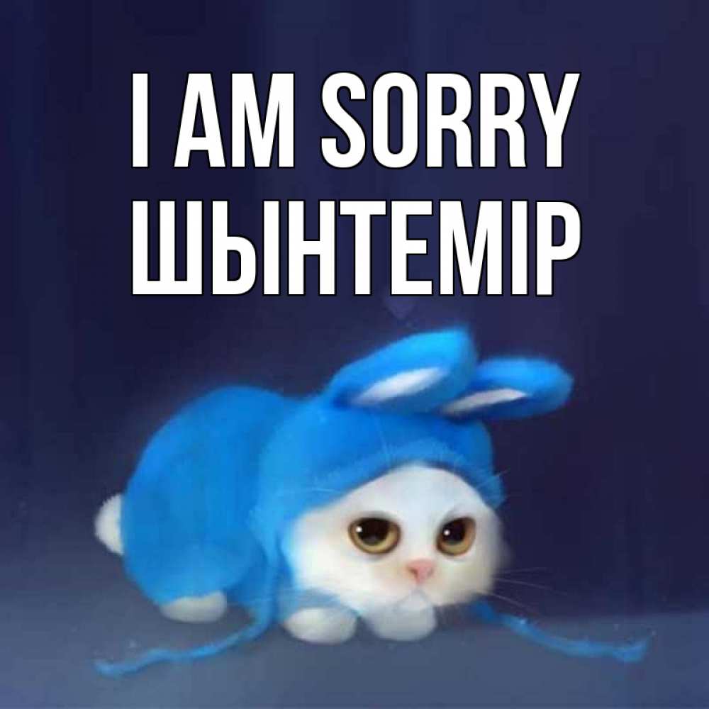 Greetings card с именем, ШЫНТЕМІР I am sorry невинный котозай просит прощения Greetings with text for free download 