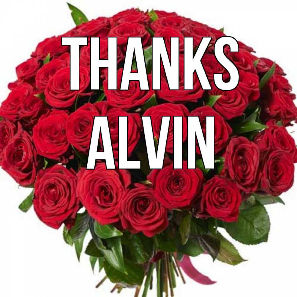 Greetings card с именем, Alvin Thanks букет красных роз Greetings with text for free download 