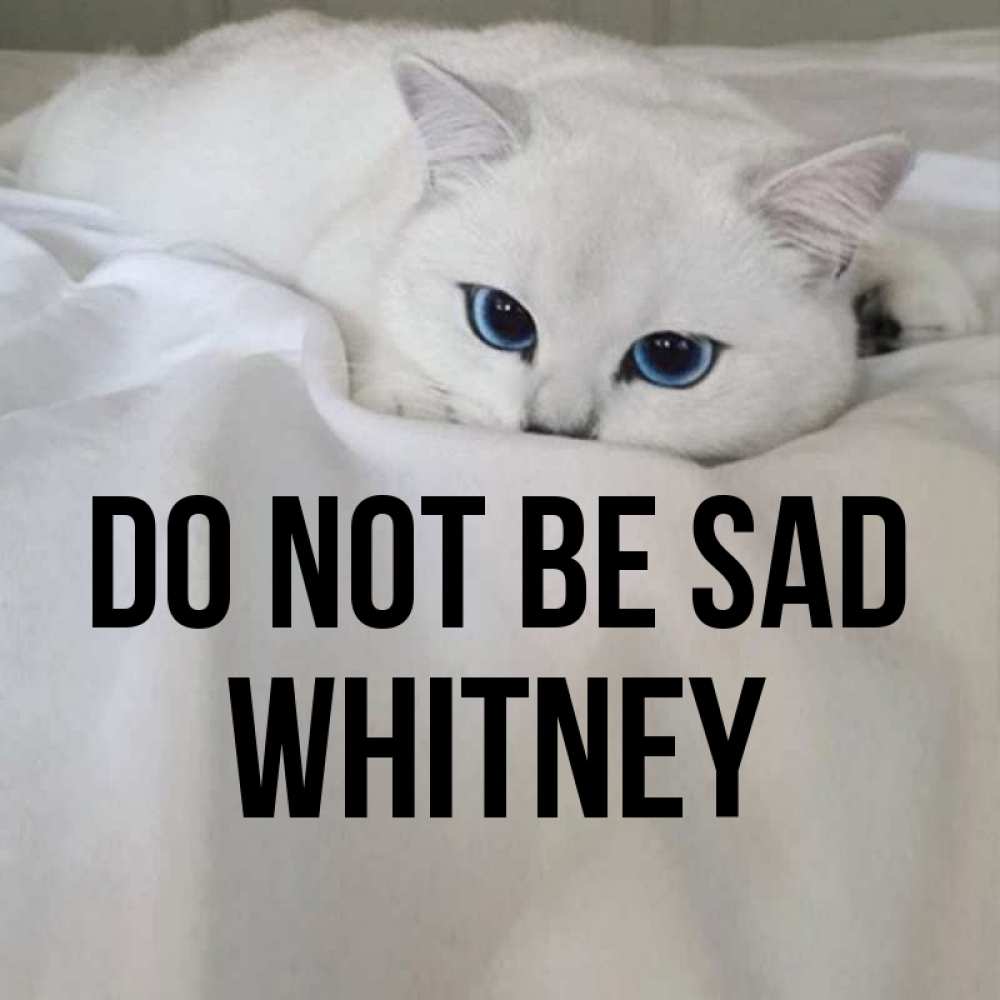 Greetings card с именем, Whitney Do not be sad Голубоглазая кошка Greetings with text for free download 