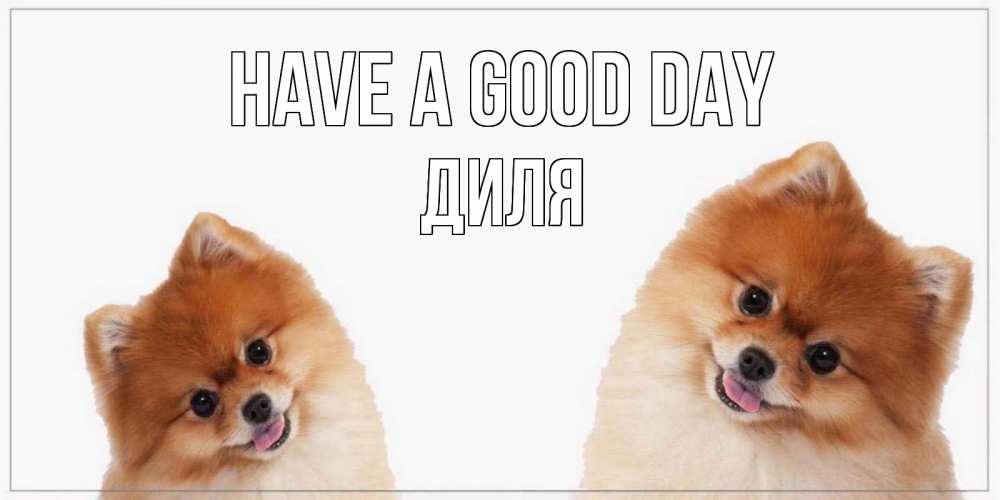 Greetings card с именем, Диля Have a good day собачки желают прекрасного дня Greetings with text for free download 
