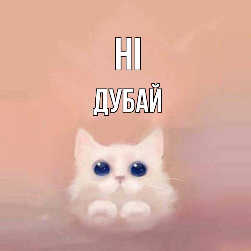 Greetings card с именем, Дубай Hi котик белый в полете Greetings with text for free download 