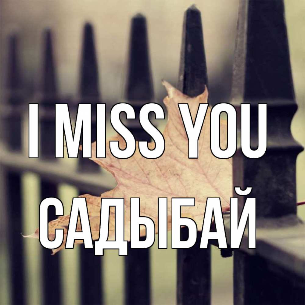 Greetings card с именем, САДЫБАЙ I miss you очень скучно Greetings with text for free download 