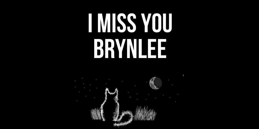 Greetings card с именем, Brynlee I miss you кот Greetings with text for free download 
