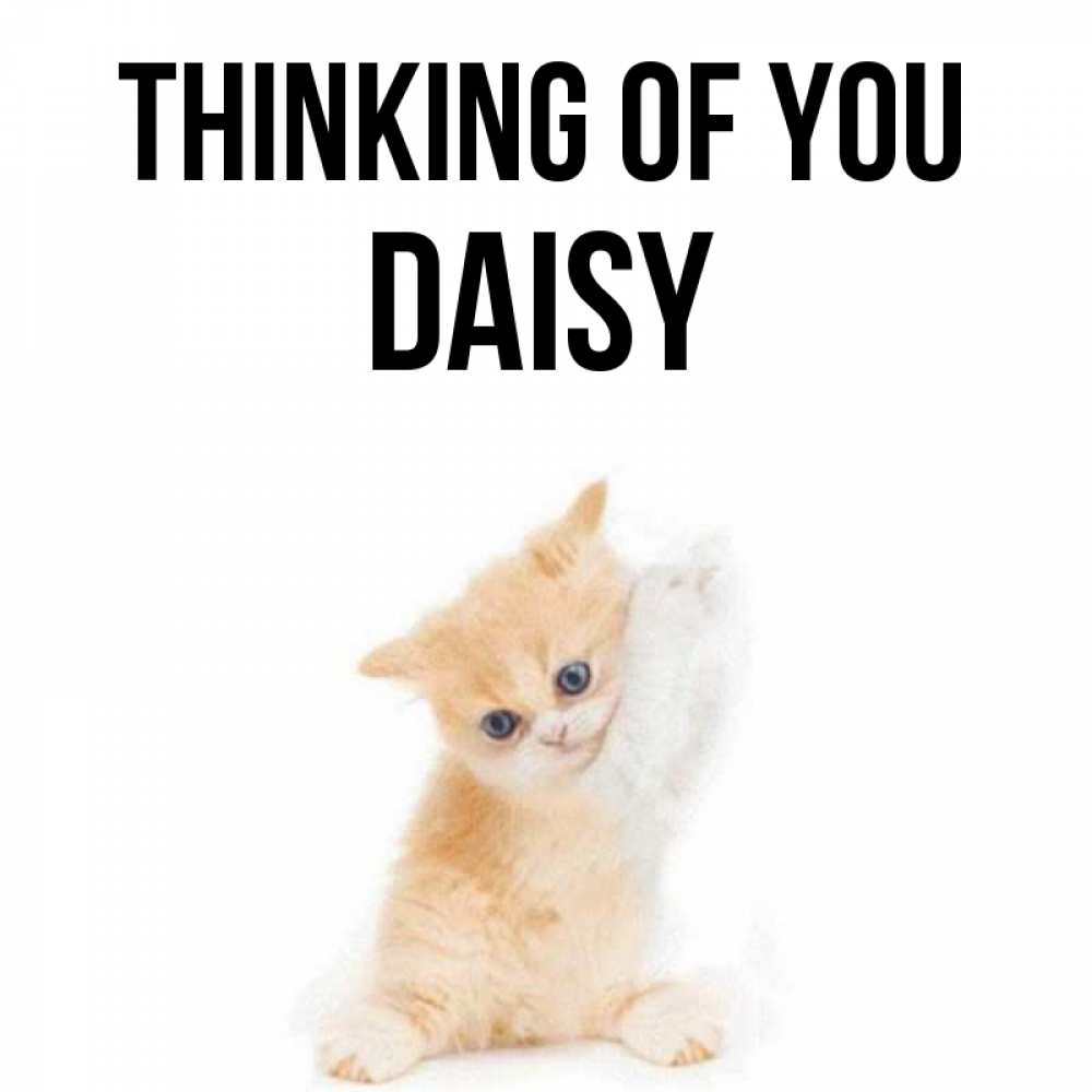Greetings card с именем, Daisy Thinking of you зверушки и милота Greetings with text for free download 