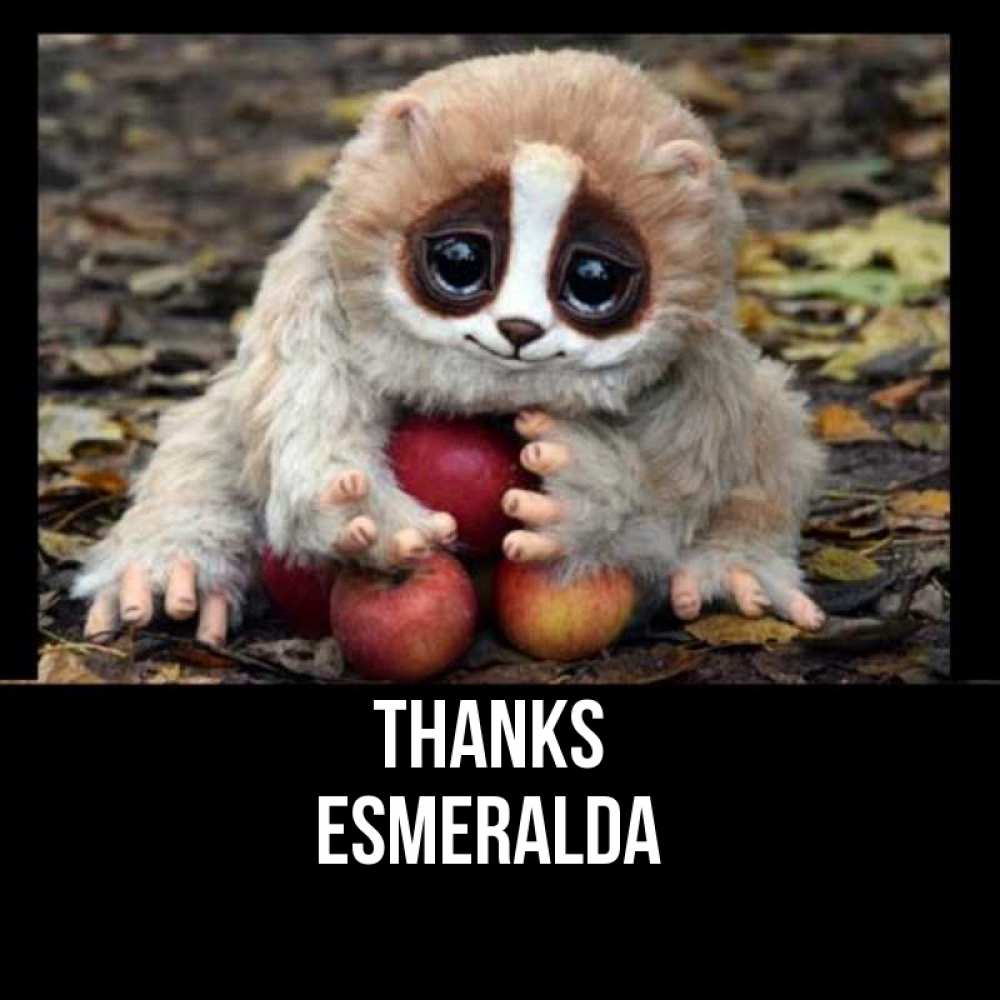 Greetings card с именем, Esmeralda Thanks прикольное животное Greetings with text for free download 