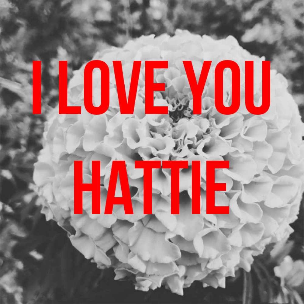 Greetings card с именем, Hattie I love you подпись Greetings with text for free download 
