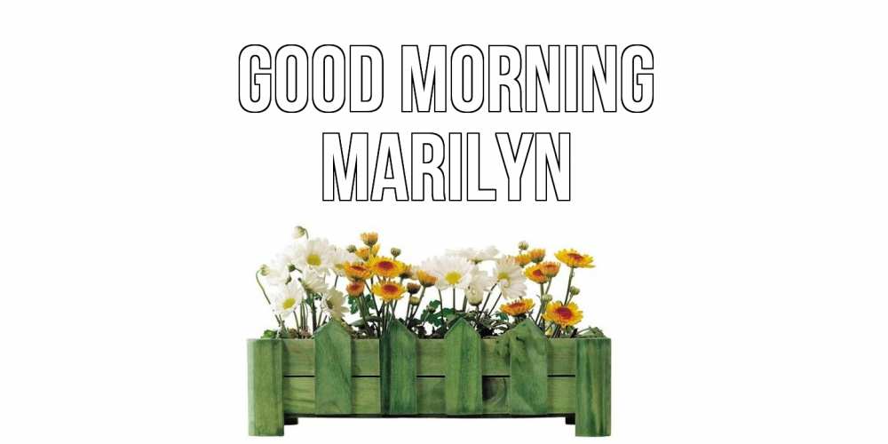 Greetings card с именем, Marilyn Good morning цветы Greetings with text for free download 
