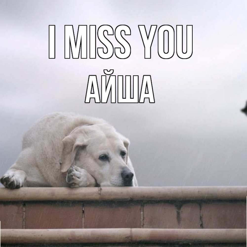 Greetings card с именем, АЙША I miss you ждет Greetings with text for free download 