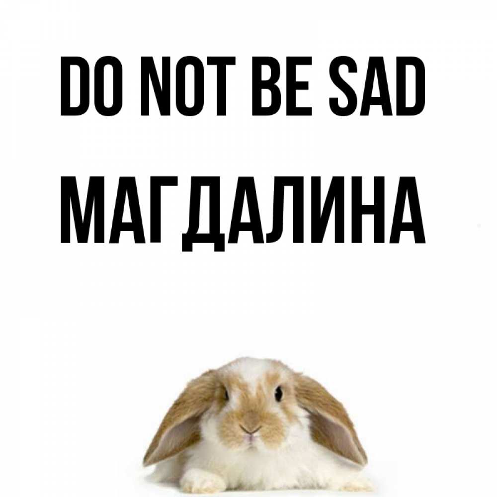 Greetings card с именем, Магдалина Do not be sad коричнево белый заяц с большими ушками Greetings with text for free download 