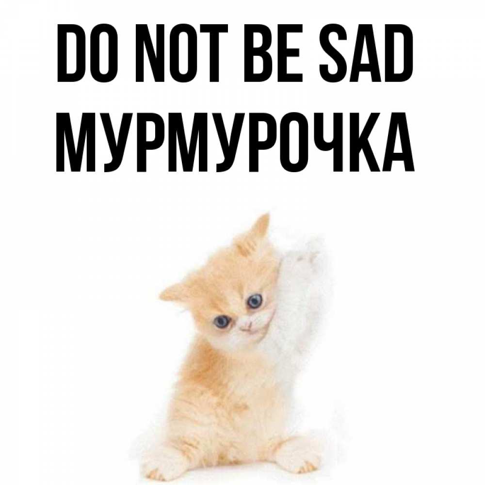 Greetings card с именем, Мурмурочка Do not be sad просящий кот Greetings with text for free download 