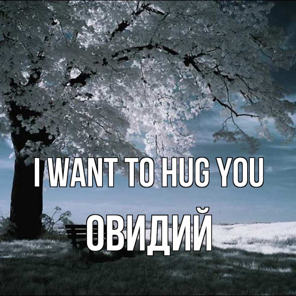 Greetings card с именем, Овидий I want to hug you дерево Greetings with text for free download 