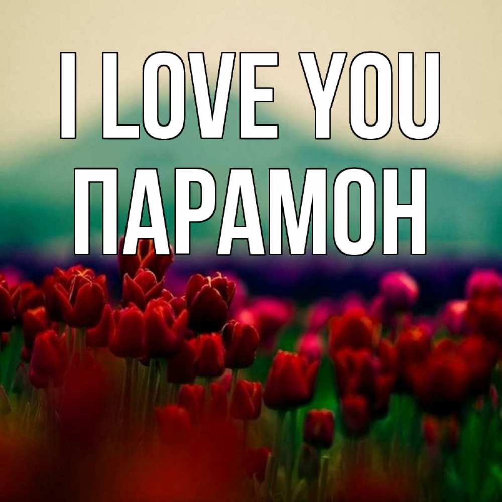 Greetings card с именем, Парамон I love you тюльпаны 4 Greetings with text for free download 