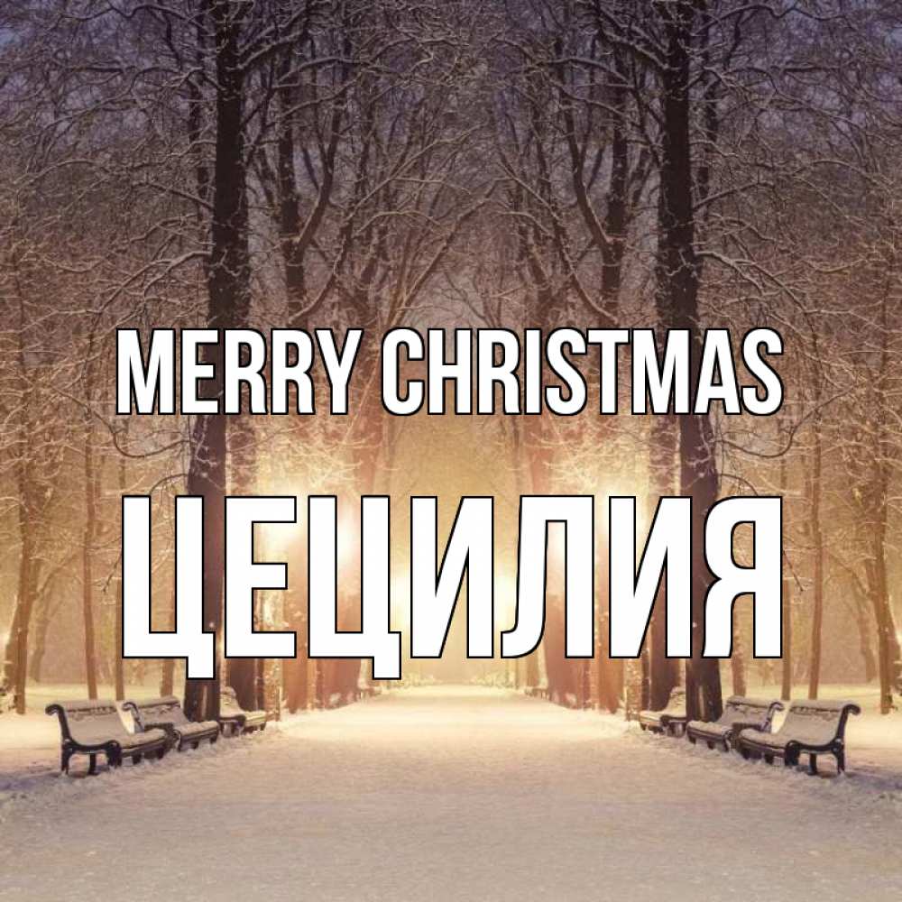Greetings card с именем, Цецилия Merry Christmas зима, парк, фонарь, лес Greetings with text for free download 