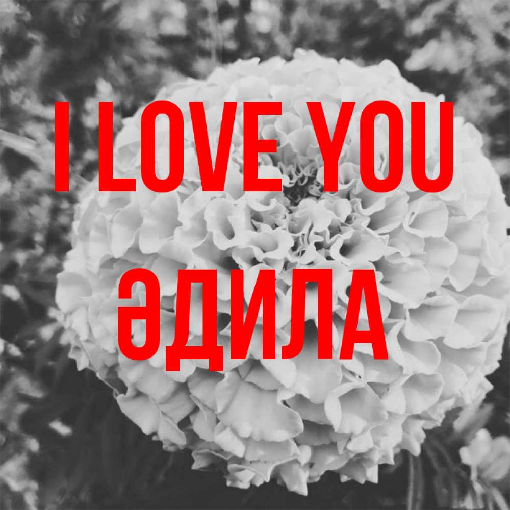 Greetings card с именем, ӘДИЛА I love you подпись Greetings with text for free download 