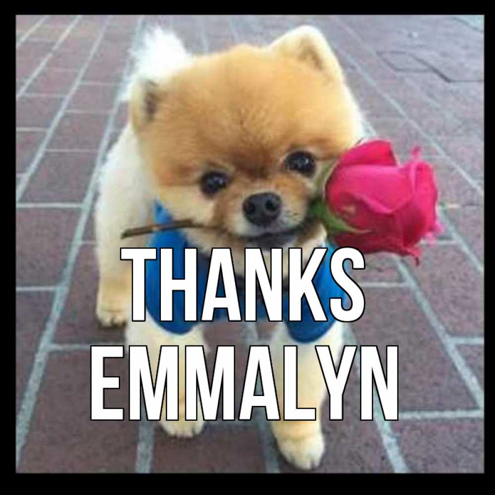Greetings card с именем, Emmalyn Thanks спасибо и дарю тебе цветок Greetings with text for free download 
