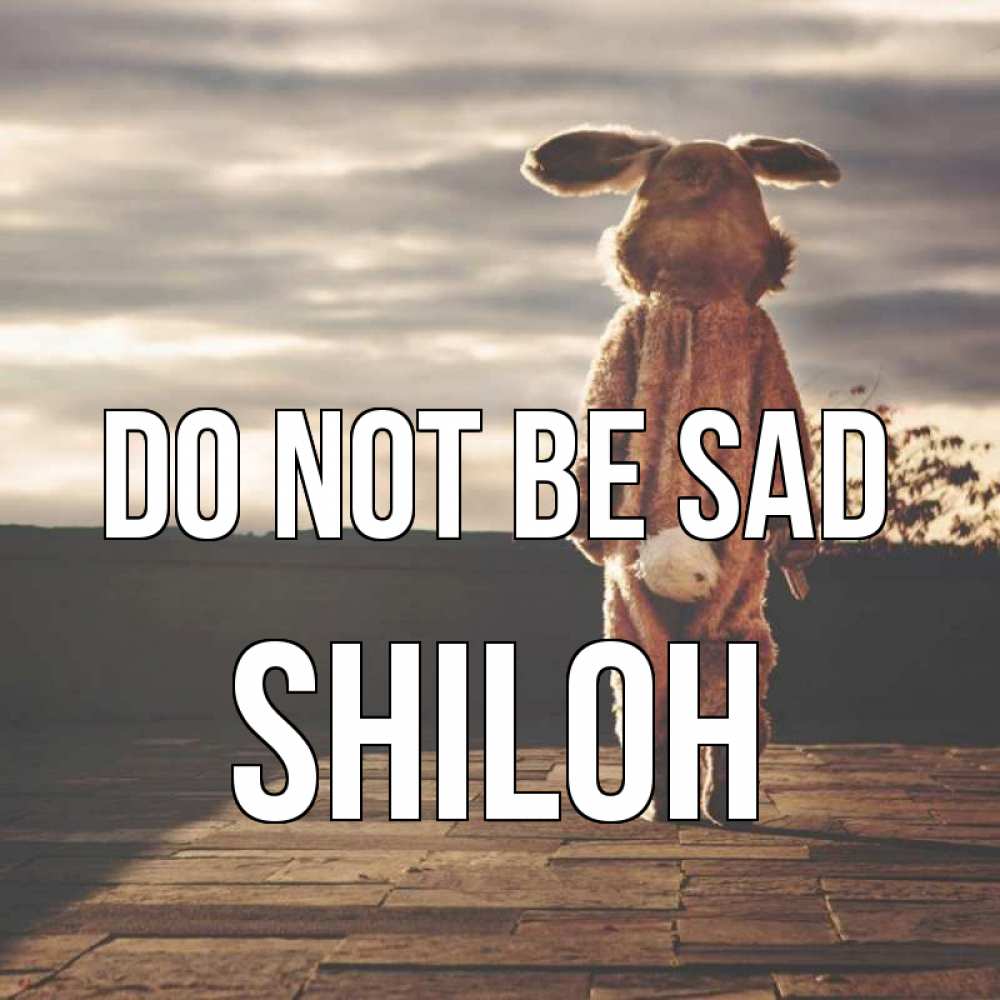 Greetings card с именем, Shiloh Do not be sad со спины Greetings with text for free download 