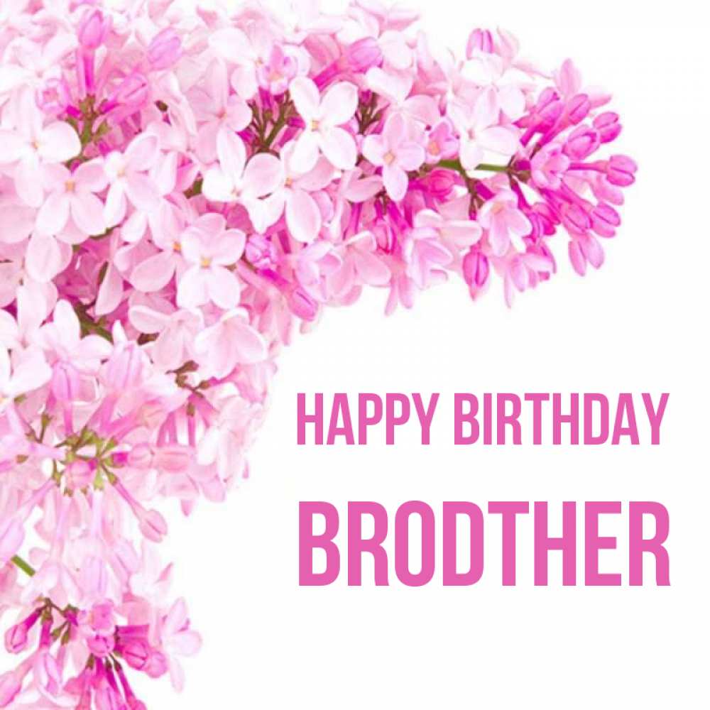 Greetings card с именем, brodther Happy Birthday Сирень на белом фоне Greetings with text for free download 