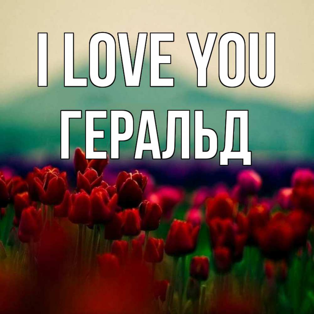 Greetings card с именем, Геральд I love you тюльпаны 4 Greetings with text for free download 