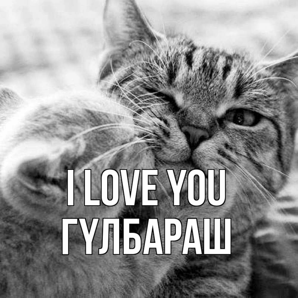 Greetings card с именем, ГҮЛБАРАШ I love you коты Greetings with text for free download 