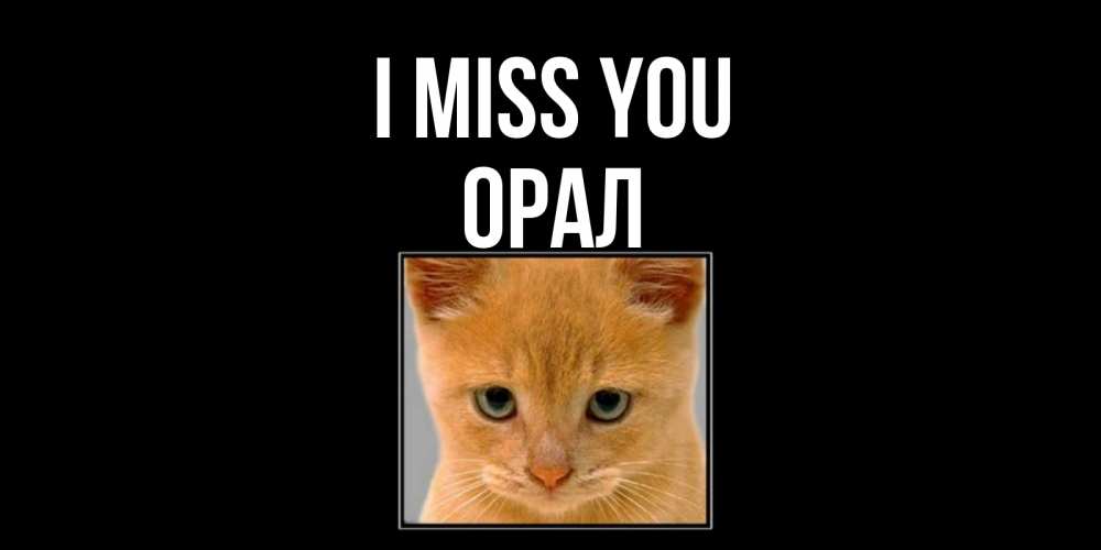 Greetings card с именем, ОРАЛ I miss you открытки рыжий котенок скучает по тебе Greetings with text for free download 