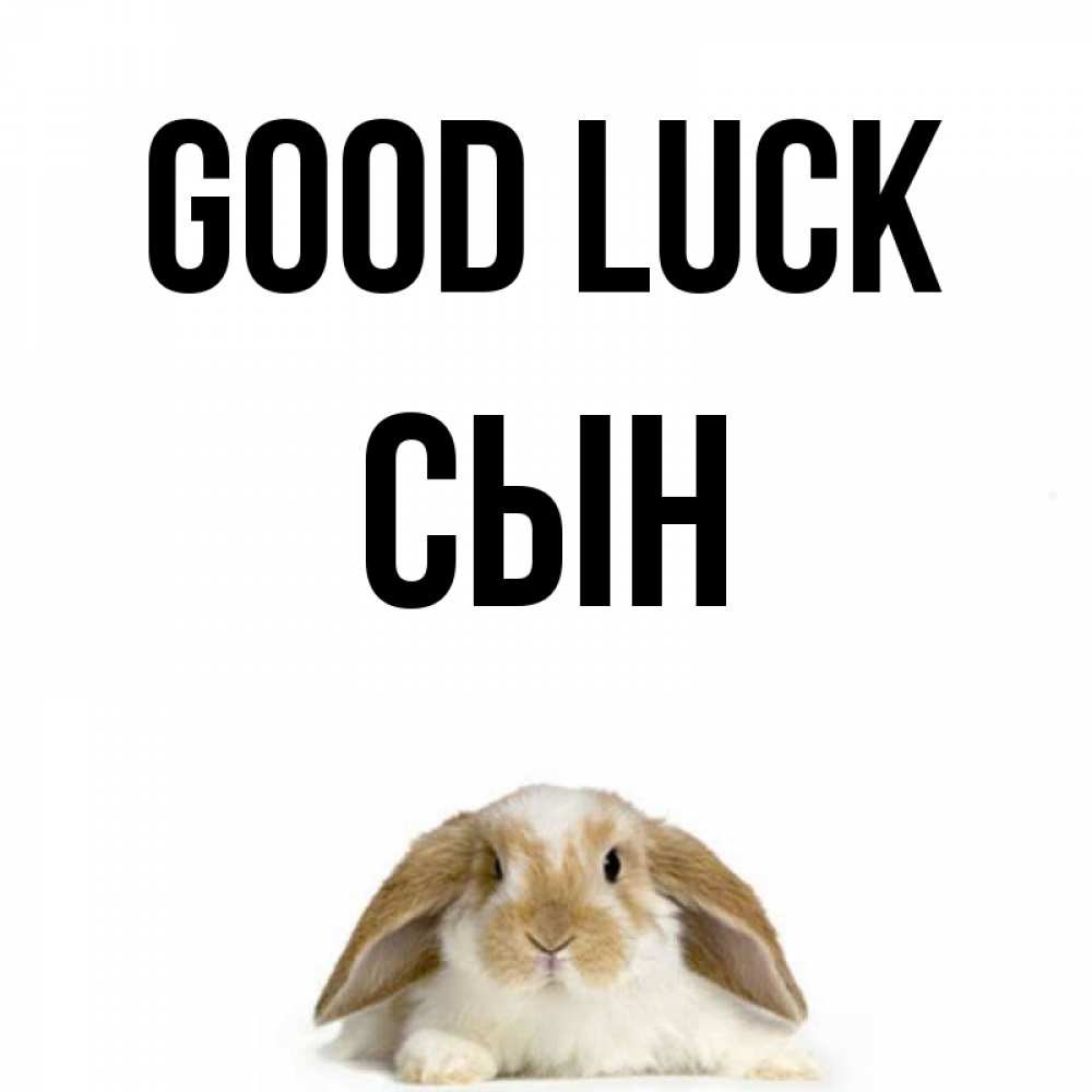 Greetings card с именем, Сын Good luck открытки с произвольным текстом который можно вставить в открытку и создать ее самостоятельно бесплатно онлайн Greetings with text for free download 