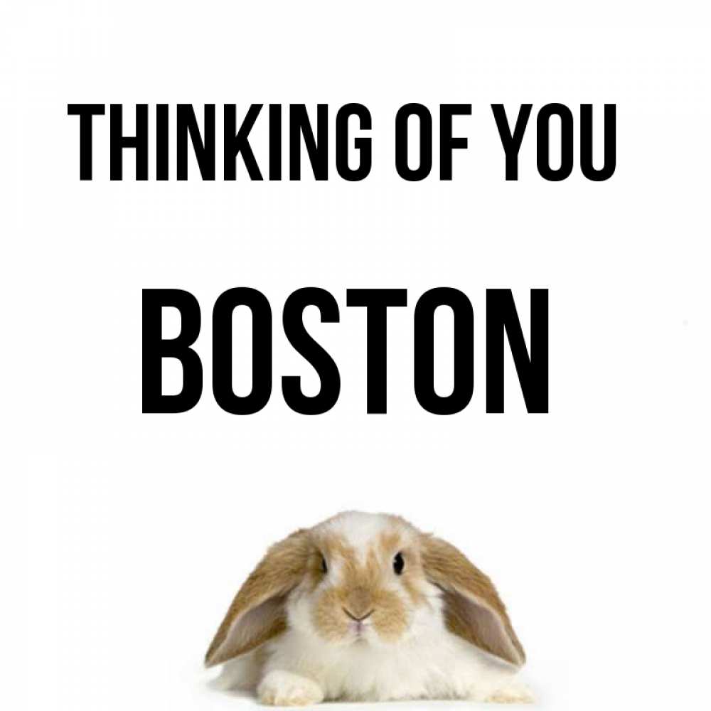 Greetings card с именем, Boston Thinking of you подписать своими руками онлайн Greetings with text for free download 
