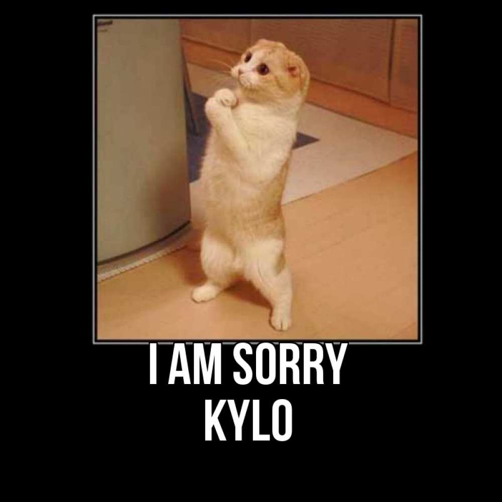 Greetings card с именем, Kylo I am sorry открытка с милым несчастным котиком просящим прощения Greetings with text for free download 