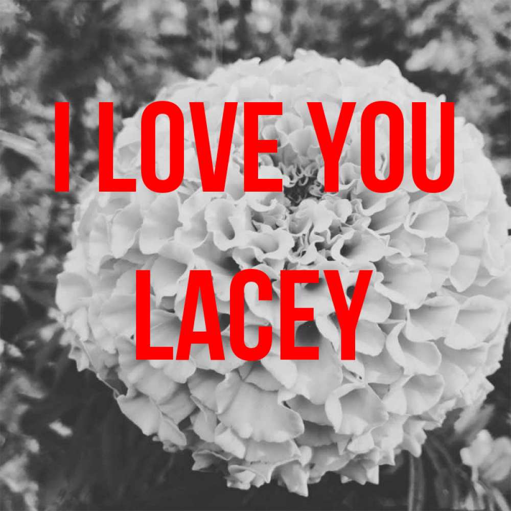 Greetings card с именем, Lacey I love you подпись Greetings with text for free download 