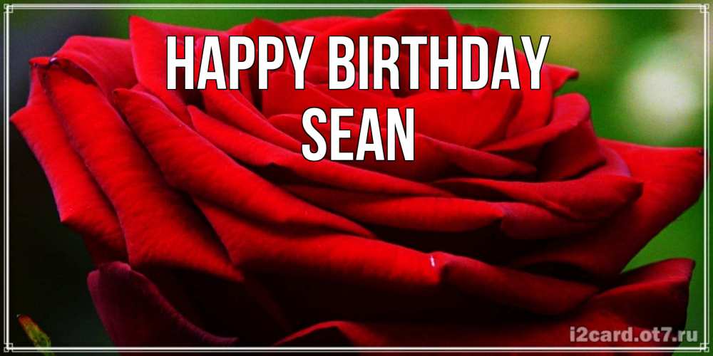 Greetings card с именем, Sean Happy Birthday розочка очень красивая Greetings with text for free download 