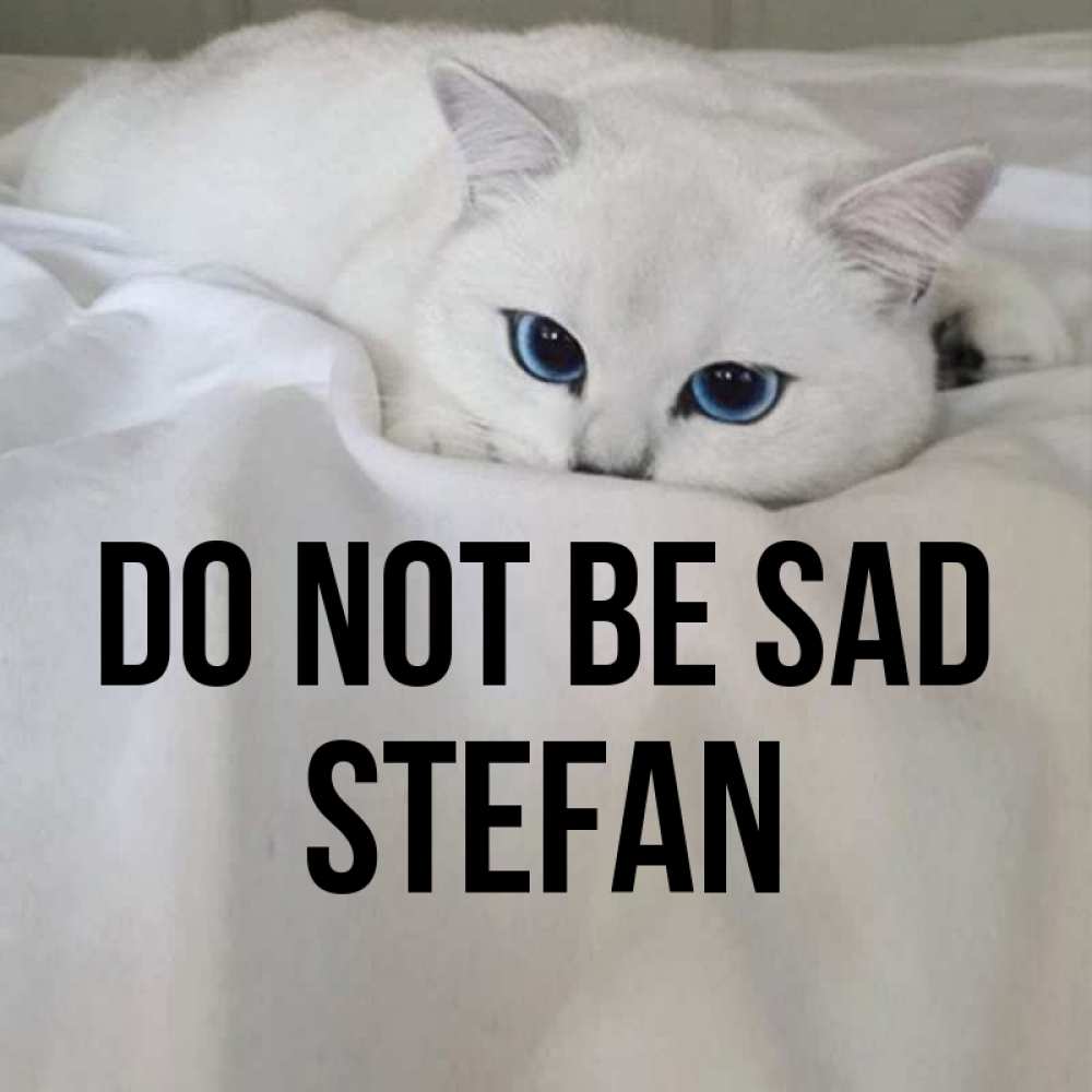 Greetings card с именем, Stefan Do not be sad Голубоглазая кошка Greetings with text for free download 