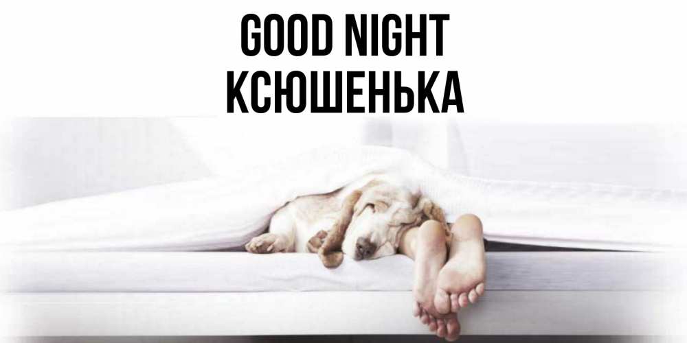 Greetings card с именем, Ксюшенька Good night кровать с собакой пожелание сладких снов и спокойной ночи Greetings with text for free download 
