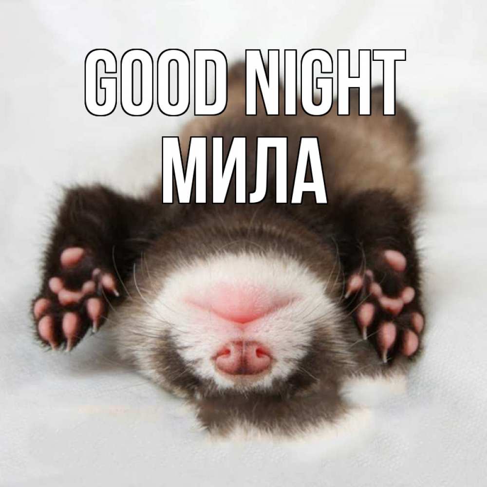Greetings card с именем, Мила Good night зверек Greetings with text for free download 