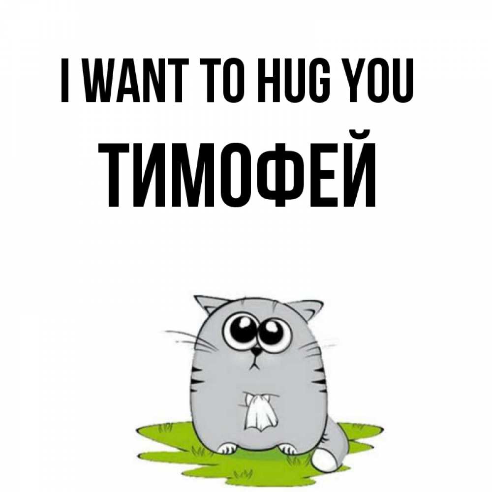 Greetings card с именем, Тимофей I want to hug you котик теребит платочек сидя на травке Greetings with text for free download 