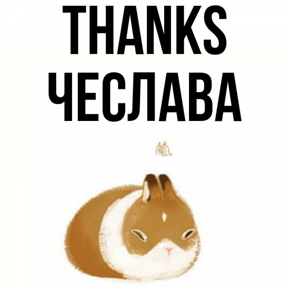Greetings card с именем, Чеслава Thanks коричнево белый домашний питомец Greetings with text for free download 