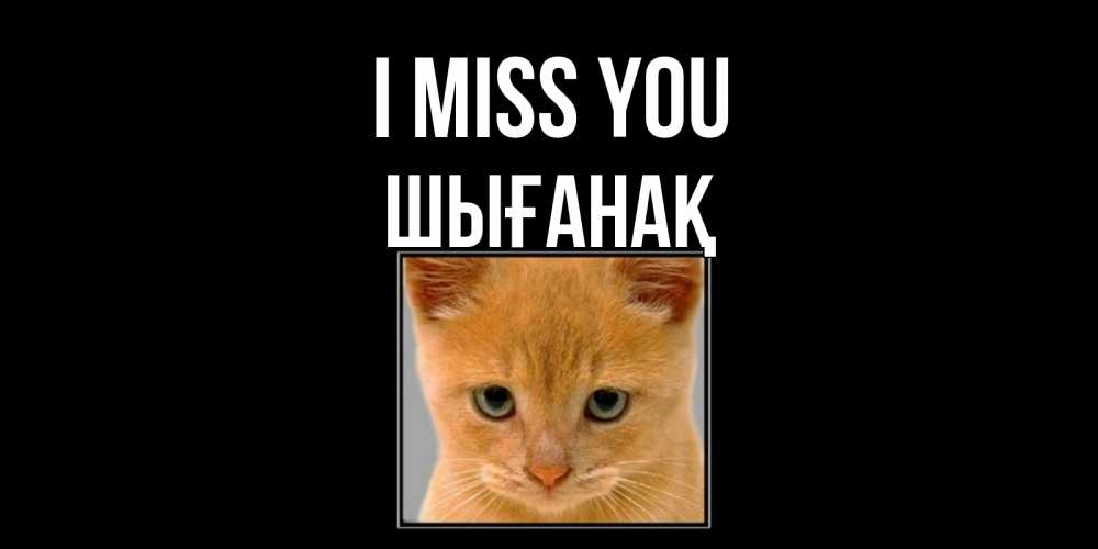 Greetings card с именем, ШЫҒАНАҚ I miss you открытки рыжий котенок скучает по тебе Greetings with text for free download 