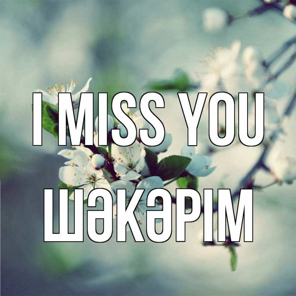 Greetings card с именем, ШӘКӘРІМ I miss you весна Greetings with text for free download 