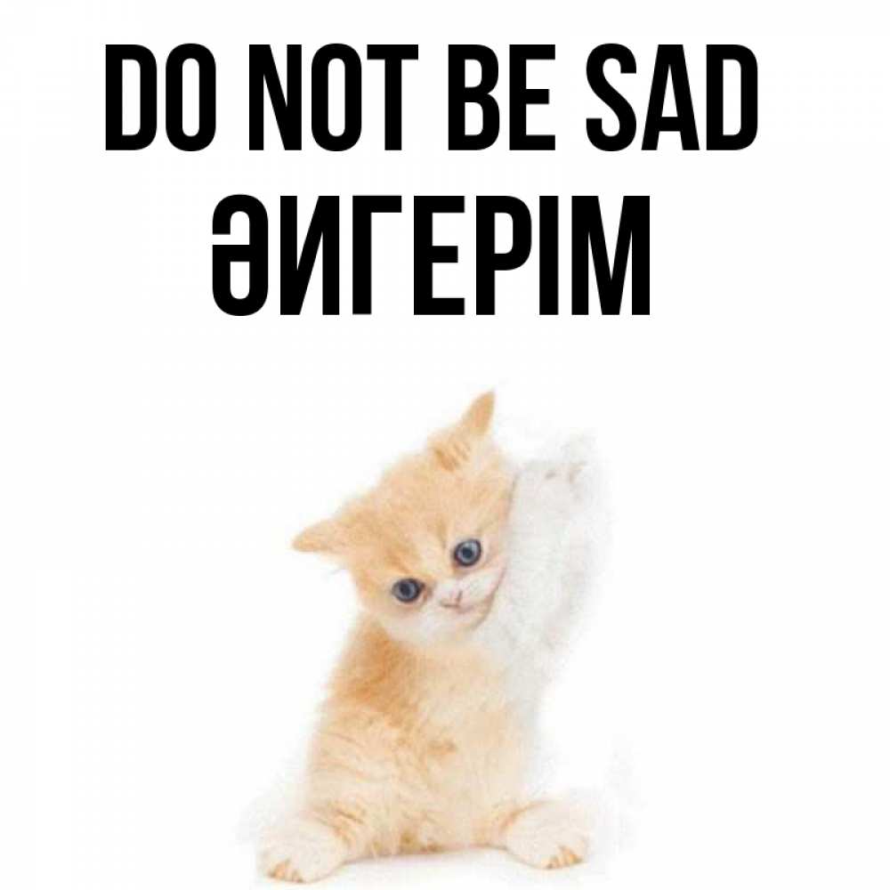 Greetings card с именем, ӘИГЕРІМ Do not be sad просящий кот Greetings with text for free download 