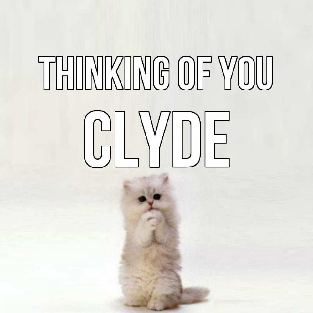 Greetings card с именем, Clyde Thinking of you кот стоит на задних лапах Greetings with text for free download 