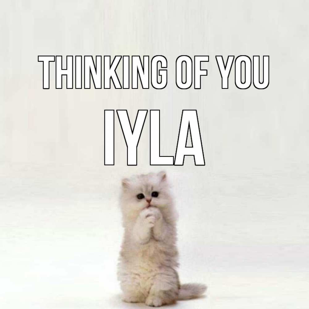 Greetings card с именем, Iyla Thinking of you кот стоит на задних лапах Greetings with text for free download 