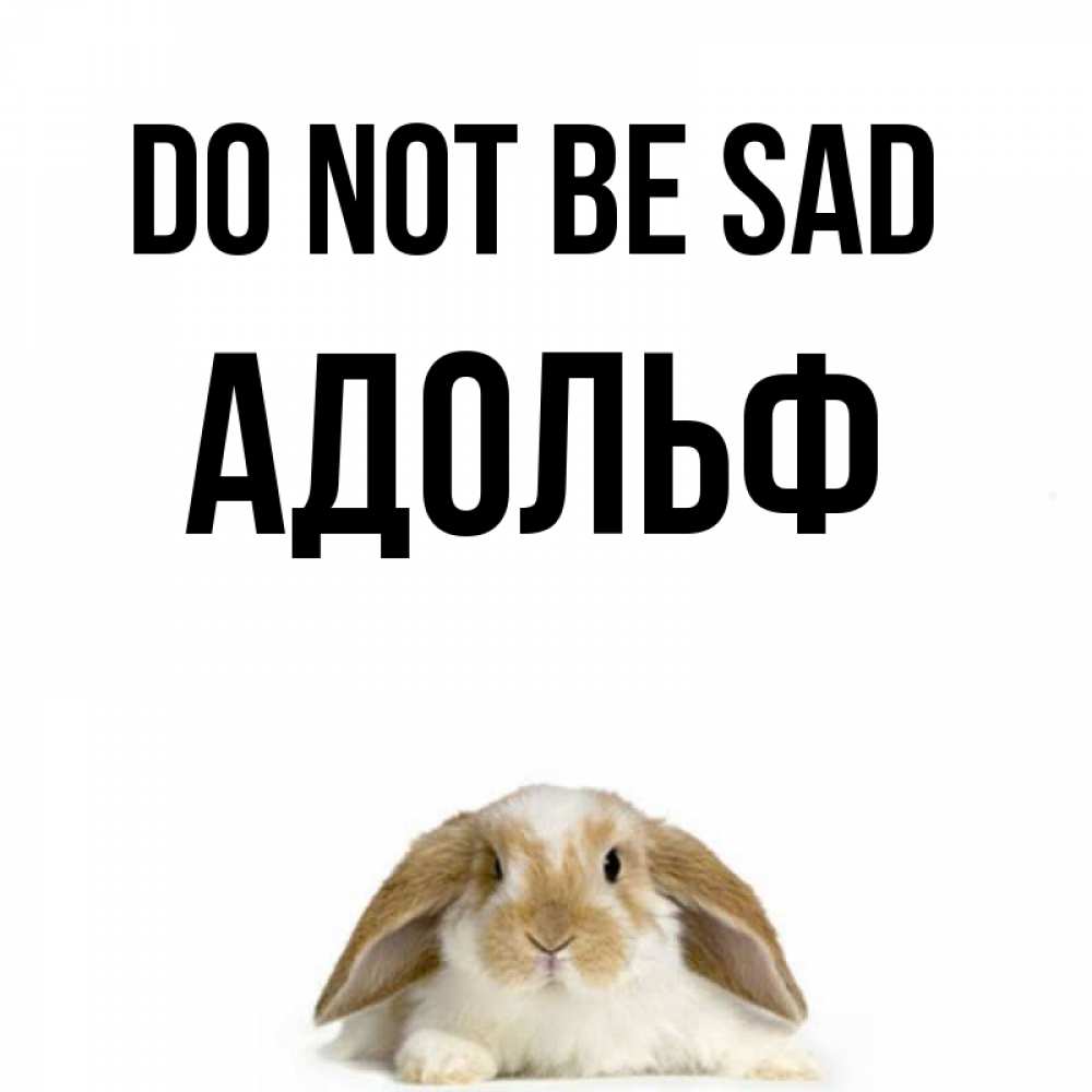 Greetings card с именем, Адольф Do not be sad коричнево белый заяц с большими ушками Greetings with text for free download 