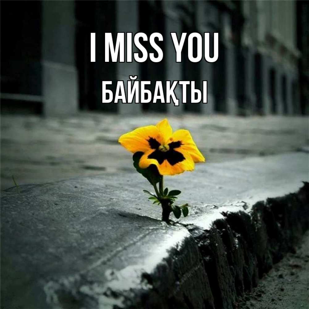 Greetings card с именем, Байбақты I miss you надеюсь будет лучше Greetings with text for free download 