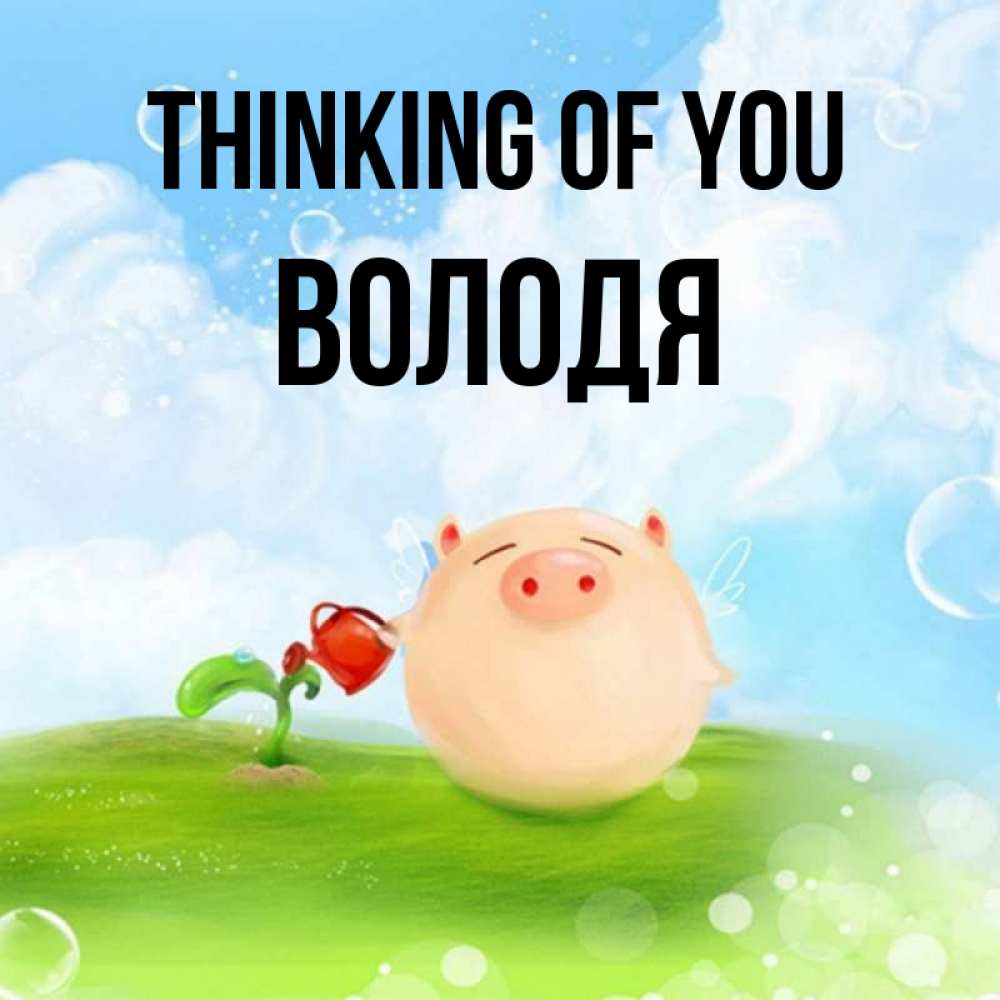 Greetings card с именем, Володя Thinking of you позитивная свинюшка Greetings with text for free download 
